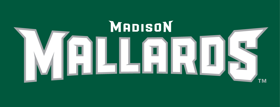 Madison Mallards 2011-Pres Wordmark Logo v2 iron on transfers for clothing